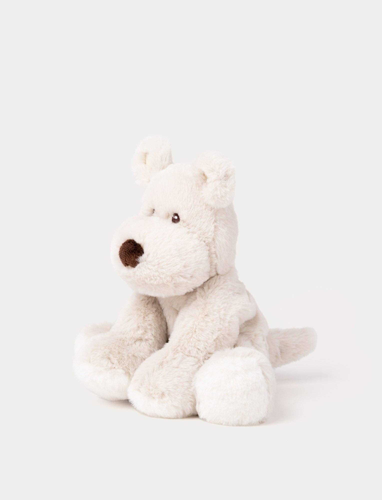 Teddy Mocca, Hond, Klein