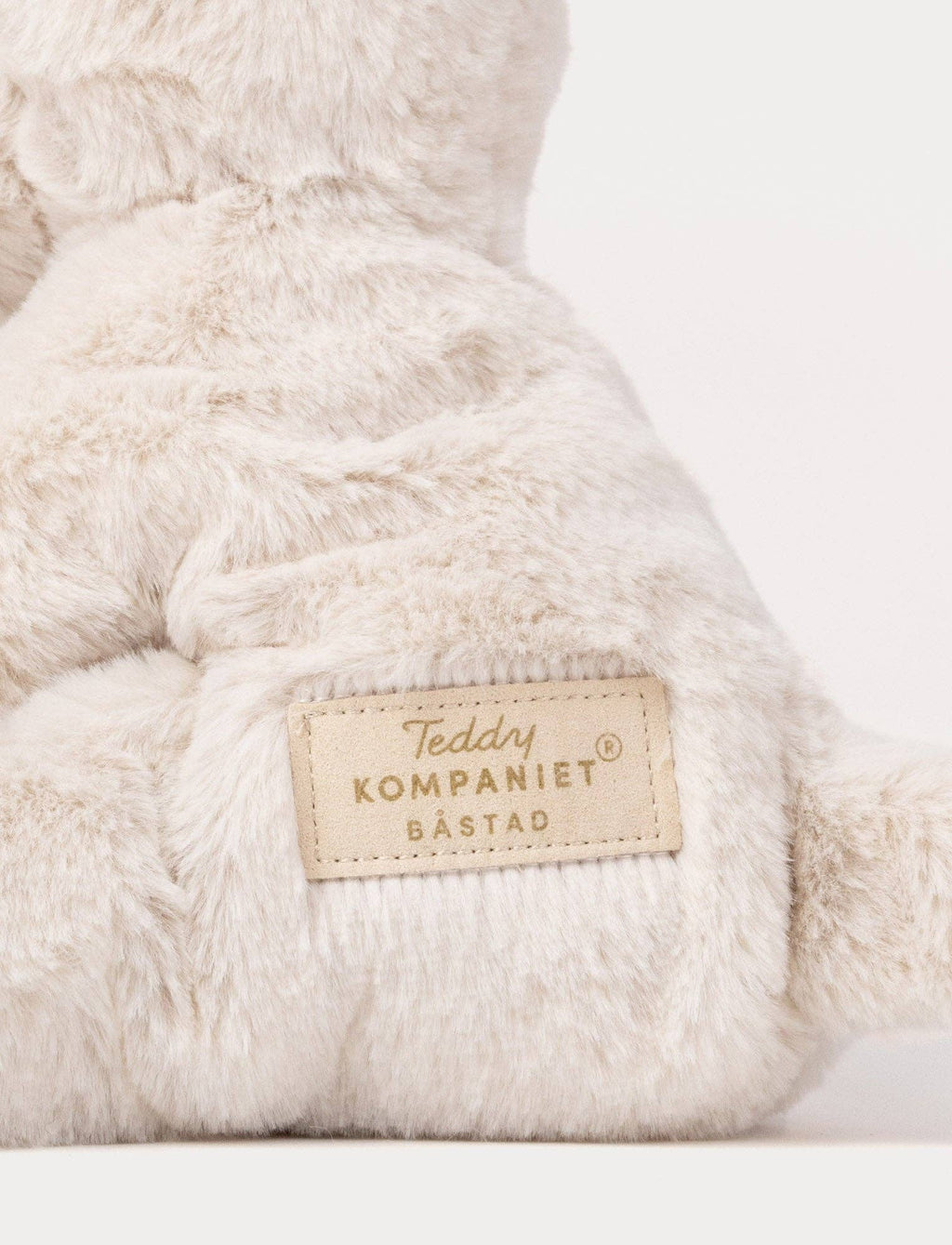 Teddy Mocca, Hond, Klein