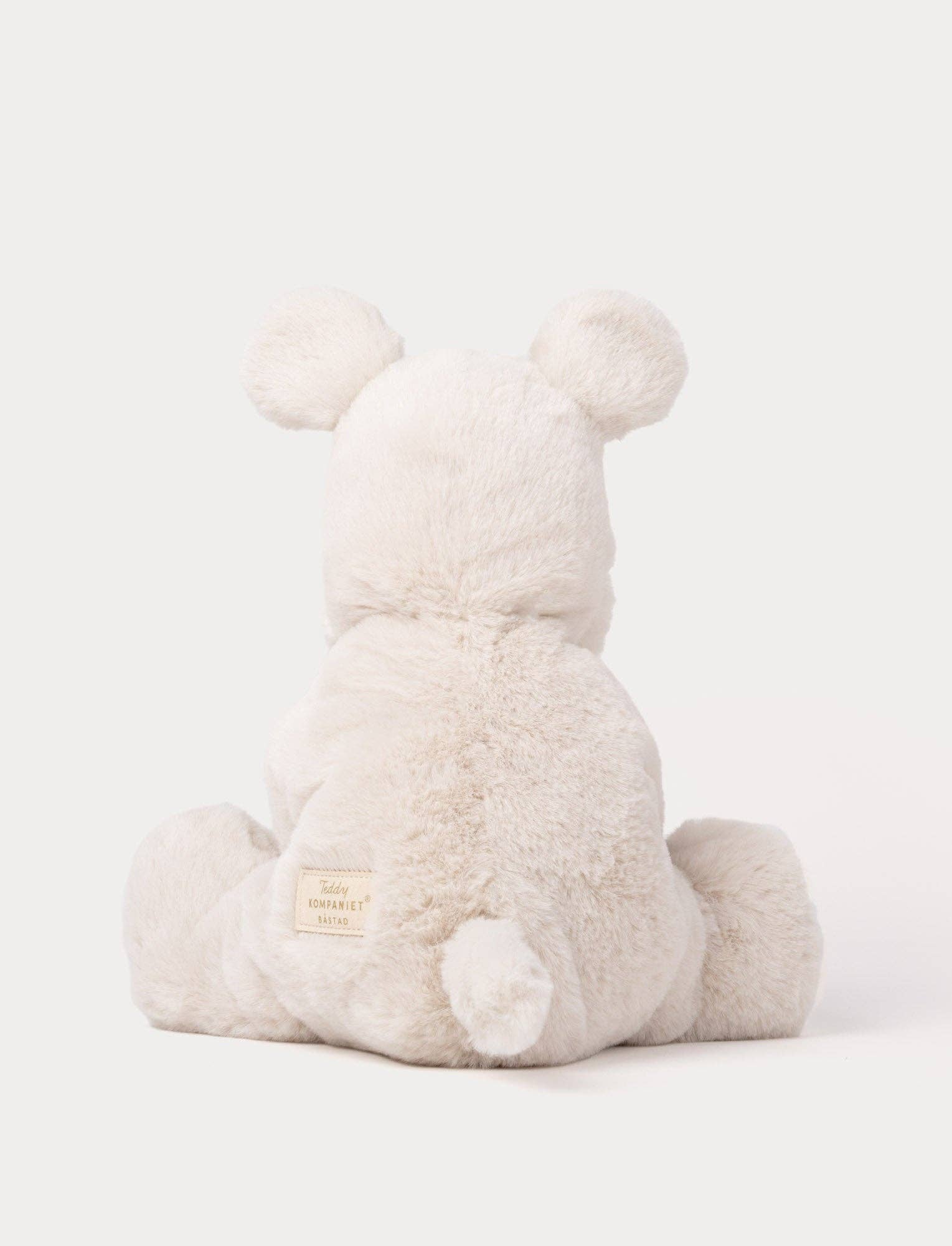 Teddy Mocca, Hond, Groot
