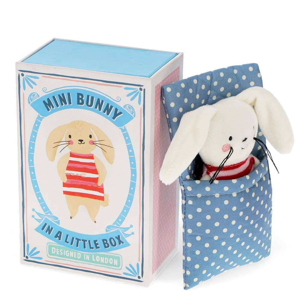 Mini Konijn in een Klein Doosje - knuffel