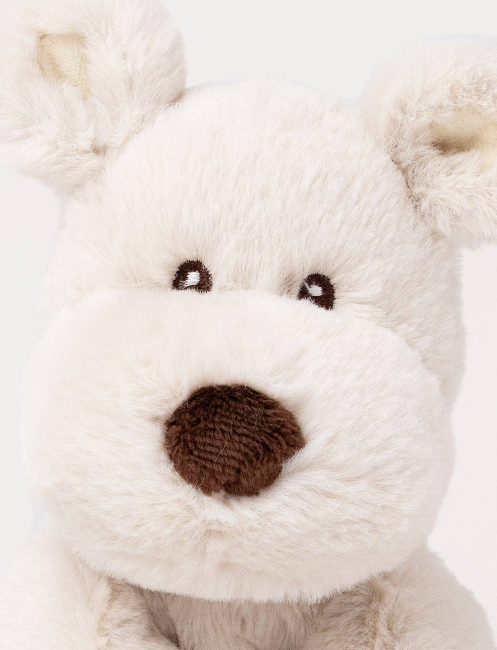 Teddy Mocca, Hond, Klein