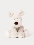 Teddy Mocca, Hond, Groot