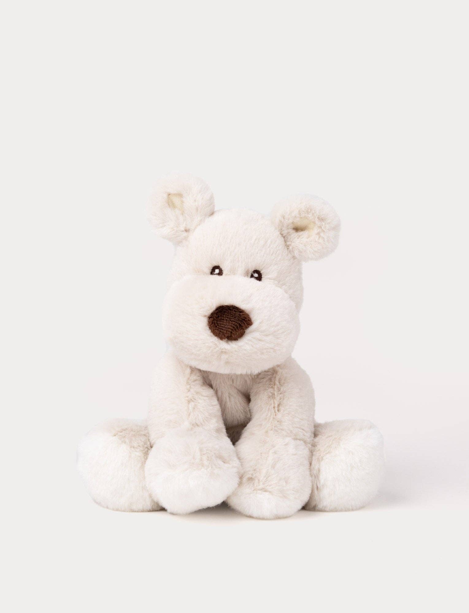 Teddy Mocca, Hond, Klein