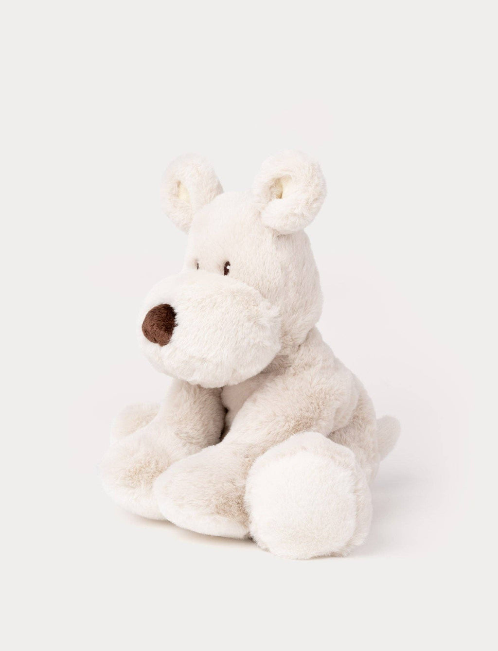 Teddy Mocca, Hond, Groot