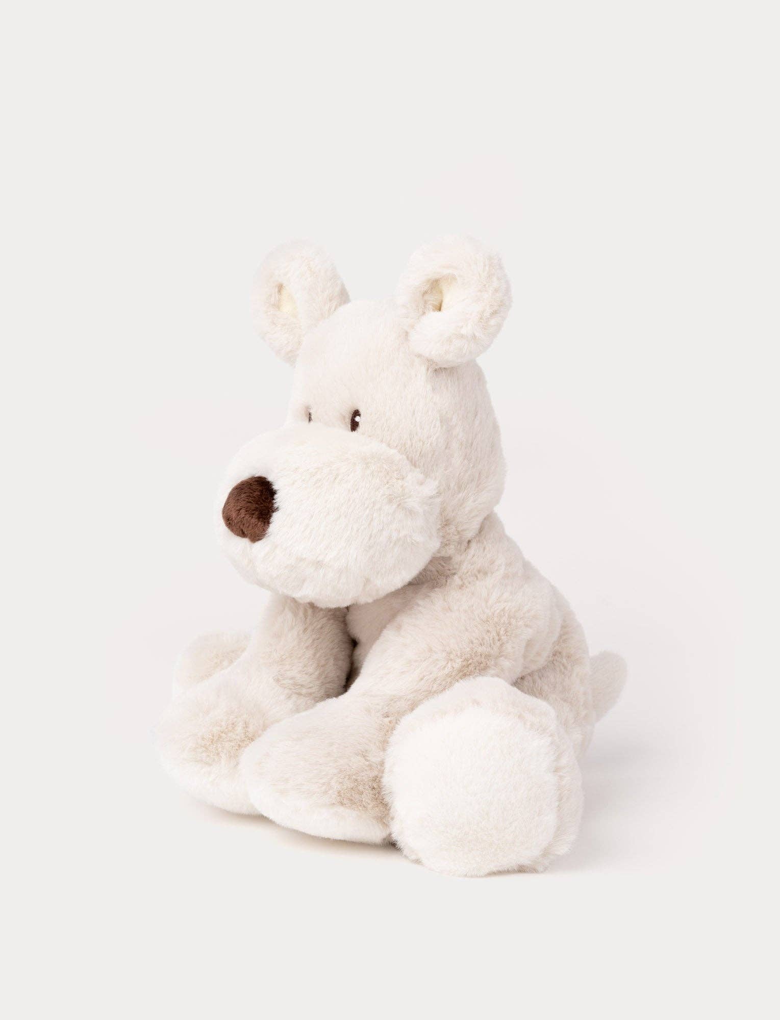 Teddy Mocca, Hond, Groot
