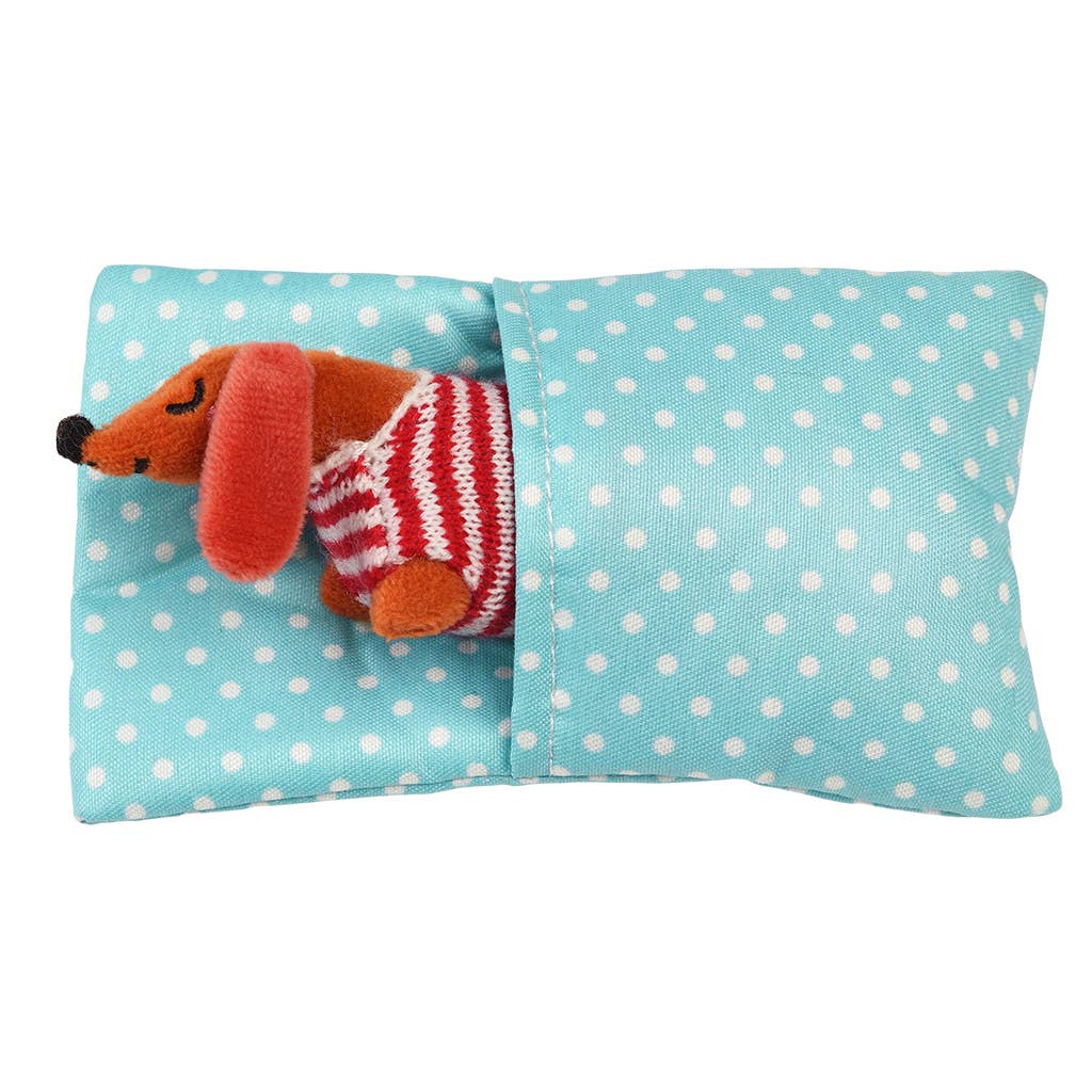Miniworstenhondje in een klein doosje