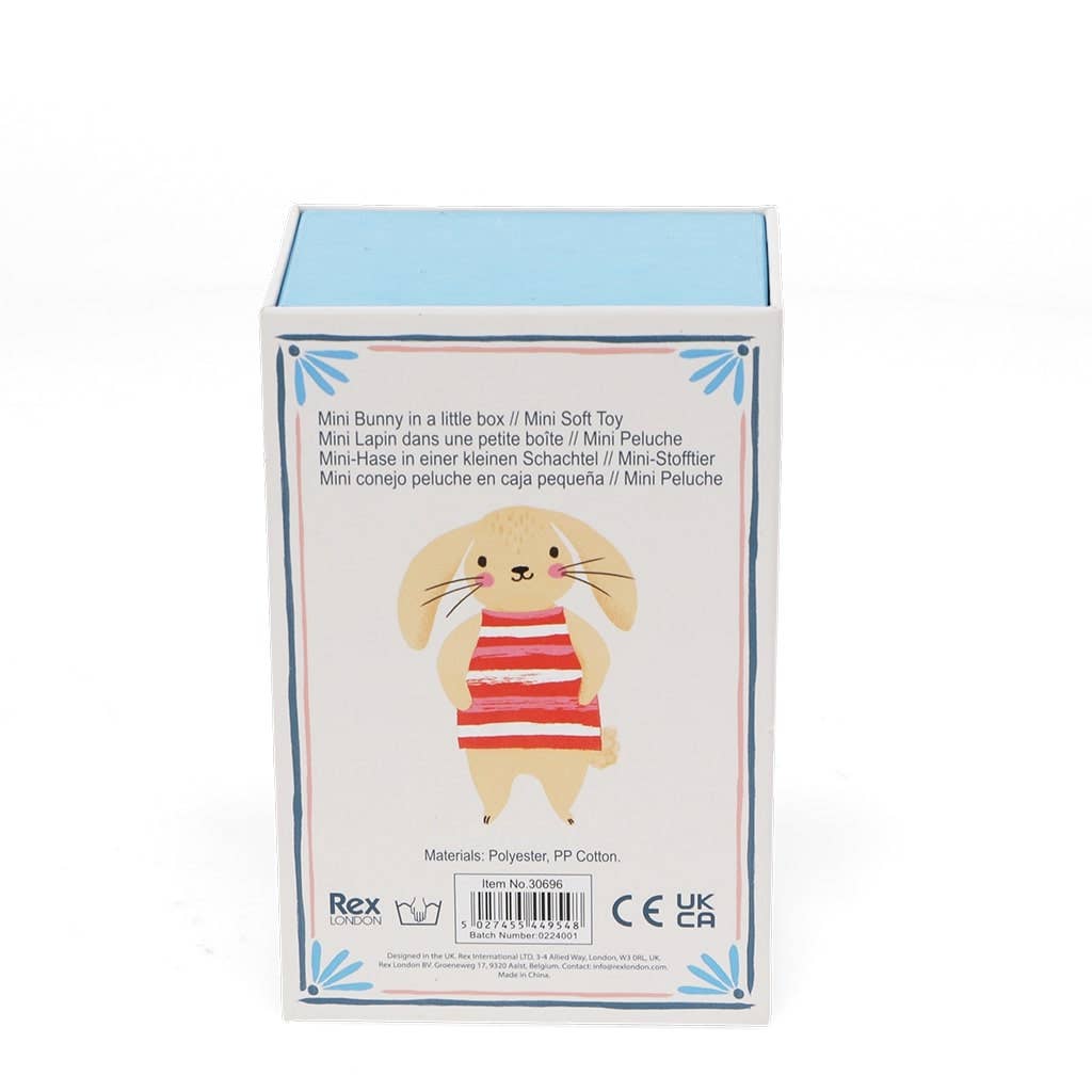 Mini Konijn in een Klein Doosje - knuffel
