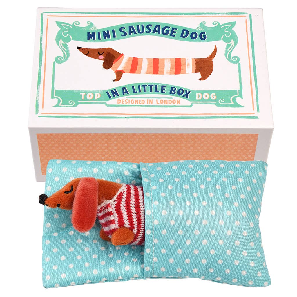 Miniworstenhondje in een klein doosje