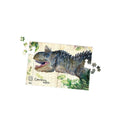 Doos 3 Dinosauruspuzzels + Posters - Nationaal Museum